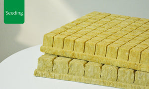 UPuper® Cultivation Plug (Trapezoid) sheet - CP 25T(0.8"x1"x1.5") - 200 Cubes/Sheet - Case (6000 Cubes/30sheets)